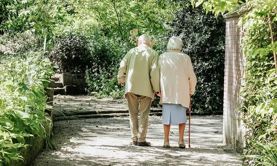 Social Security Disability